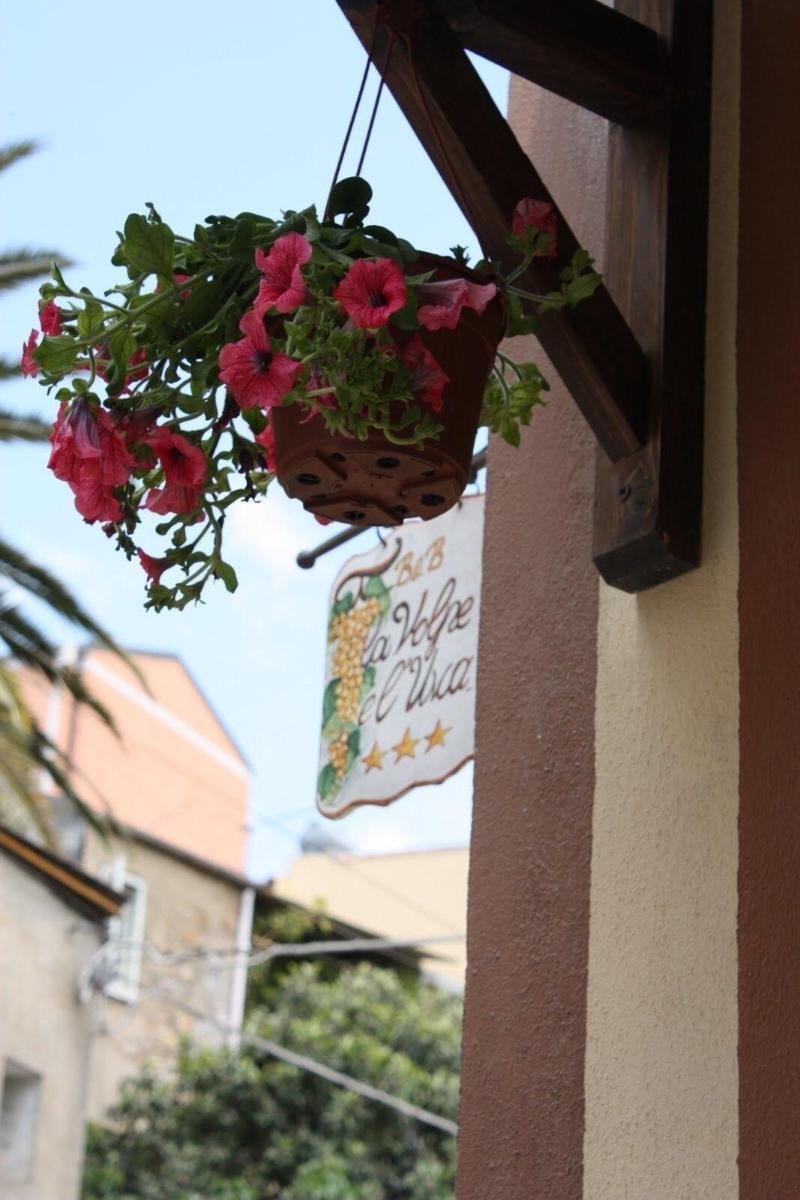La Volpe E L'Uva B&B Piazza Armerina Eksteriør billede